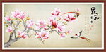 玉兰花