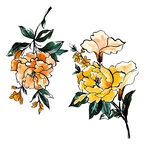 手绘花卉
