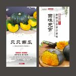 贝贝南瓜