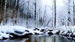 森林雪景