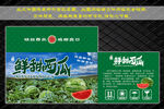西瓜包装礼盒设计