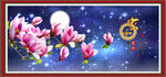玉兰花