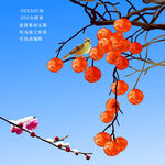 积雪花枝