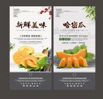 哈密瓜