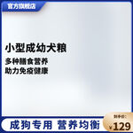 蓝色主图简约主图宠物用品主图