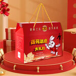 2013春节礼盒包装莲花清瘟