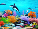 水族馆珊瑚礁