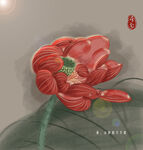 荷花 插画  