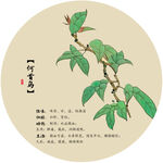 何首乌