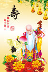 老寿星