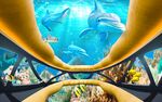 海底3D海豚电视背景墙