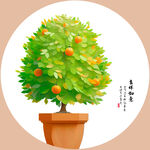 发财树