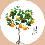 橘子树摇钱树