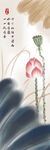 国画荷花