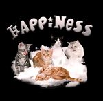 猫咪云朵卡通字母服装印花图