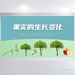 果实的生长变化展板海报