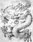 龙
