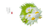 墨点 