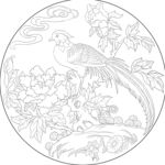牡丹 