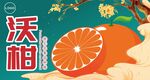 沃柑围框隔纸