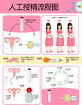 人工授精流程图图片