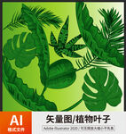 植物树叶