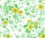 高清数码花