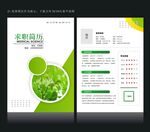绿色小学简历