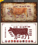 牛肉分割图