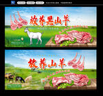  羊肉展板
