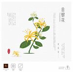 金银花