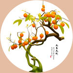 富贵桔