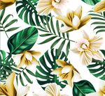 高清数码花 