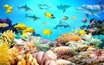 海底动物3D电视背景墙