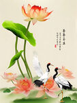 国画荷花