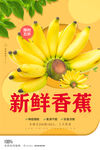 香蕉