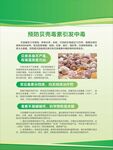 饮食安全