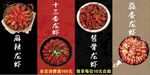 龙虾大海报