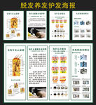 脱发养发护发海报