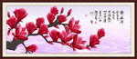 玉兰花