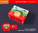茶叶包装 普洱茶包装