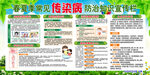 春夏季常见传染病宣传栏