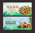 龙眼  桂圆