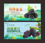 桑葚