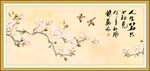 玉兰花