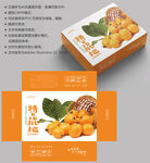 枇杷包装 水果礼盒