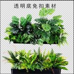 绿植花槽