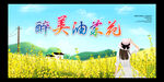 油菜花