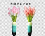 芦苇粉黛
