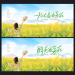 油菜花节